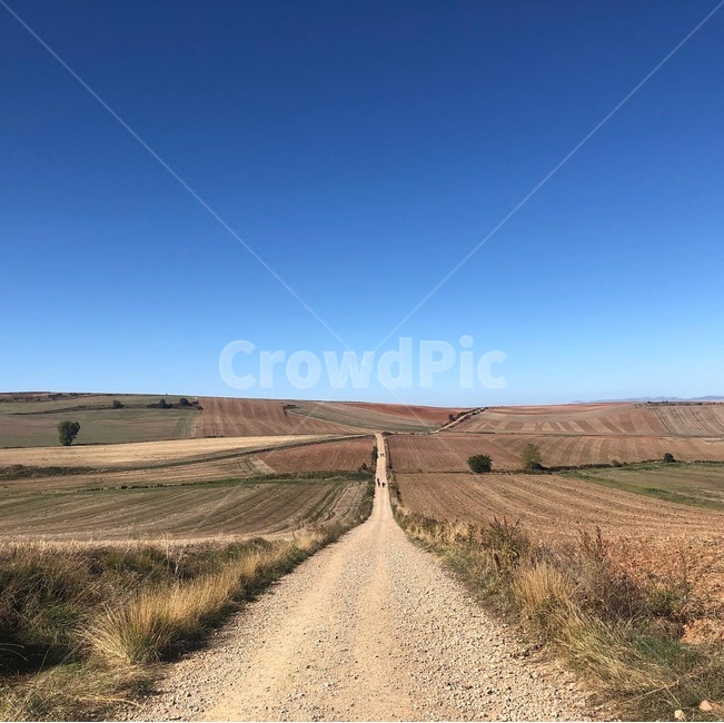 흙길,road,길,순례길,하늘,평원,평야,자연,풍경,nature,landscape