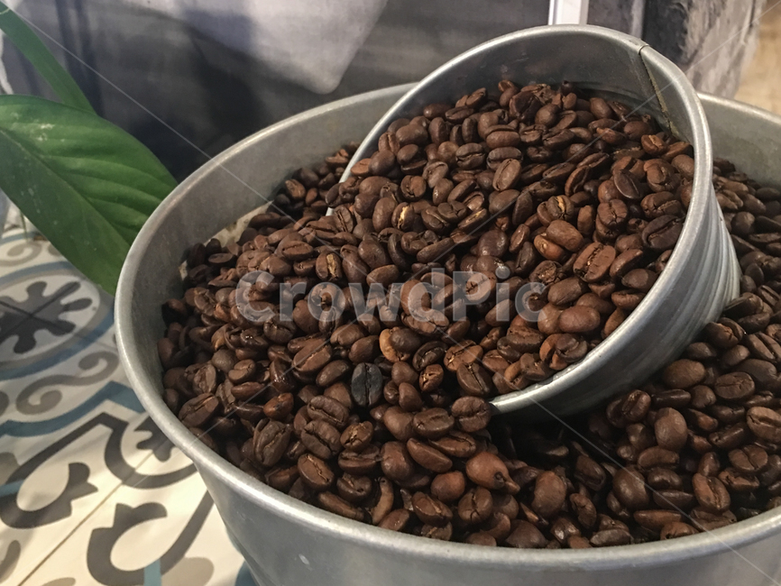 커피,원두,커피콩,커피빈,카페,인테리어,원두커피,커피원두,로스팅,커피,카페,coffee,cafe