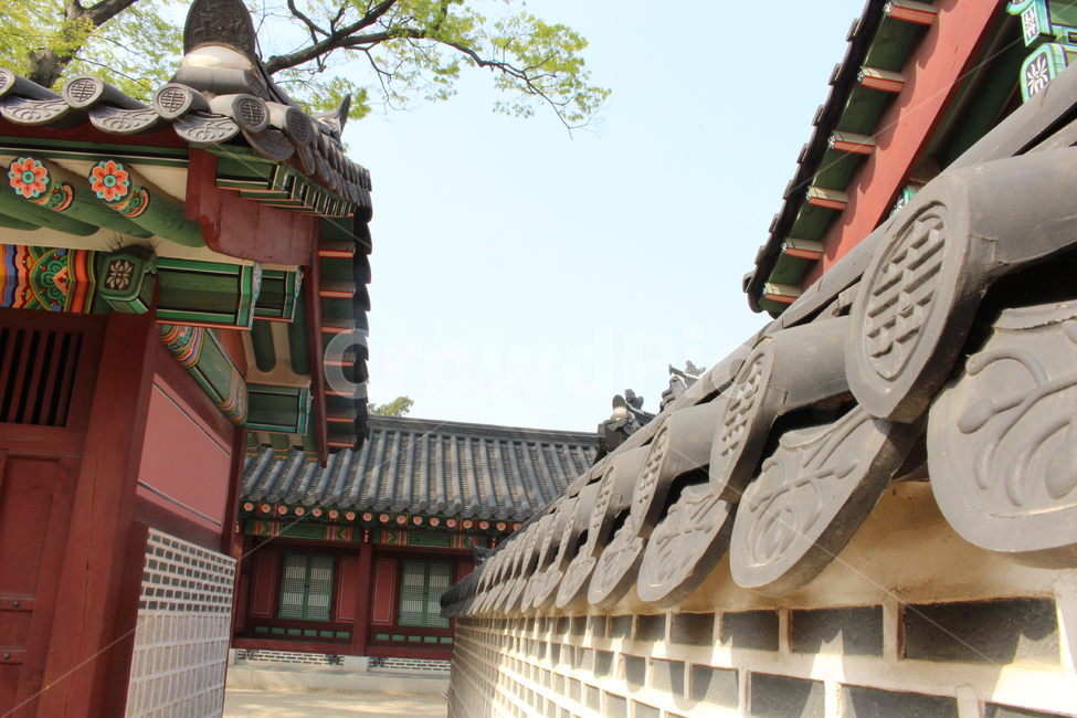 architecture,건축물,기와집,한옥,건물