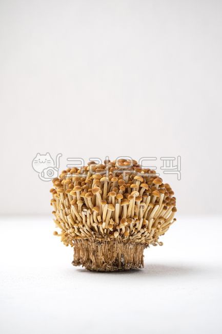 팽이버섯,황금팽이버섯,갈색팽이버섯,버섯,균류,신선,음식,식재료,음식재료,식품,신선식품,유기농