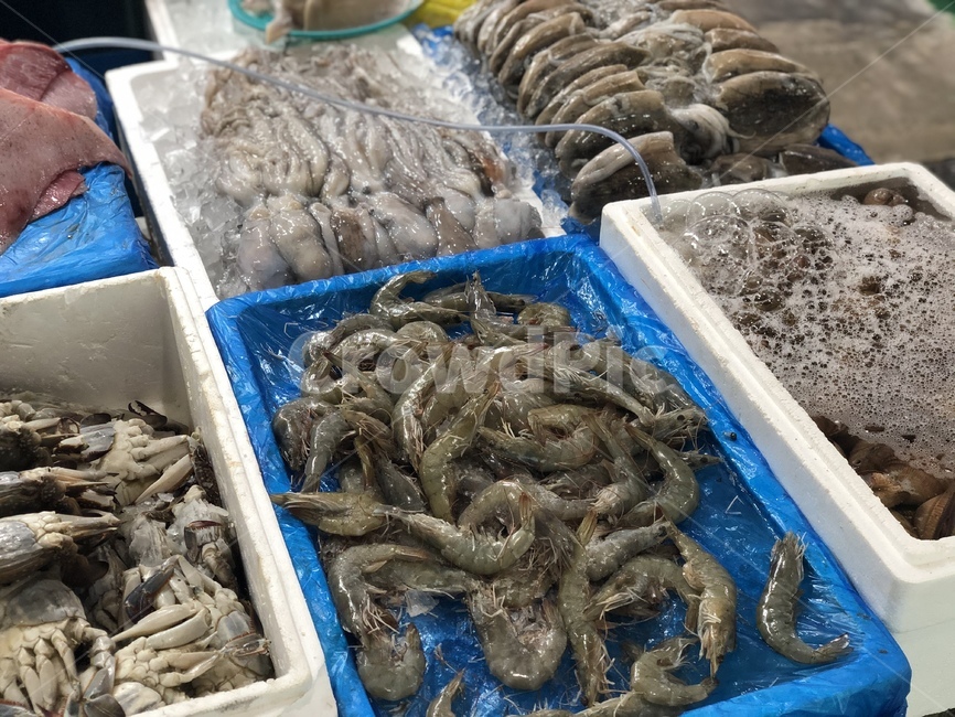 해산물,수산시장,새우,게,조개,시장,농수산시장,시장,마트,마켓,market,mart,market place,수산물,해산물,fishery products,seafood