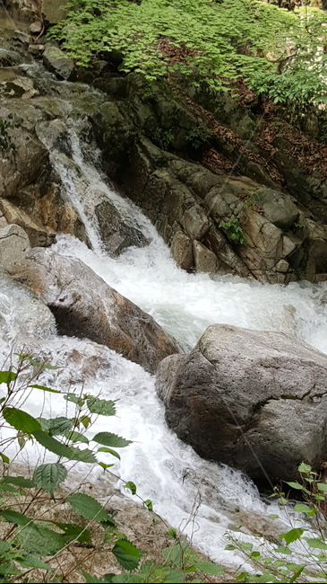 계곡,바위,물쌀,자연,풍경,깨끗함,자연,풍경,nature,landscape,river,강,outdoors,옥외,water,물,waterfall,폭포