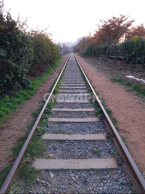 기차,traintrack,기찻길,rail,레일,교통,철도,railway,transportation