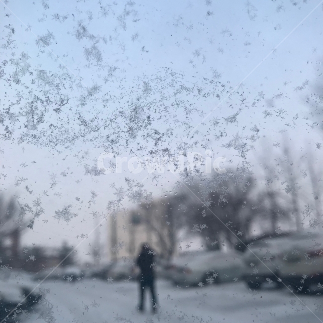 겨울,눈,눈송이,감성,파랑,자연,일상,추움,겨울,계절,winter,season
