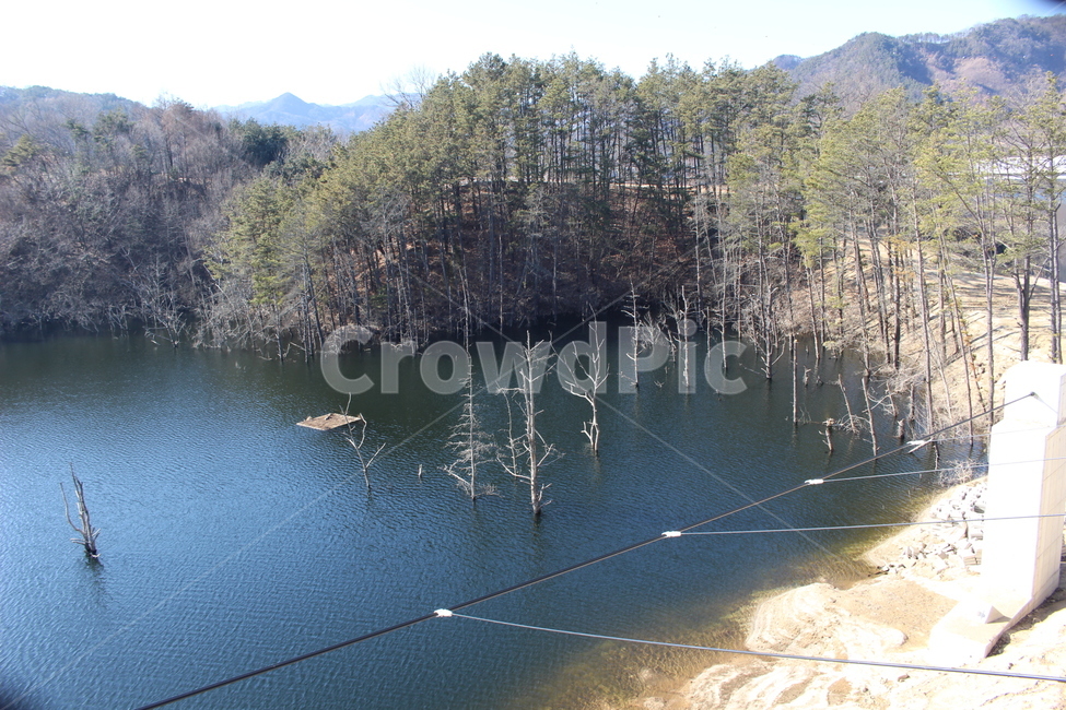 물,저수지,연못,습지,물과나무,자연,풍경,nature,landscape,water,outdoors,옥외