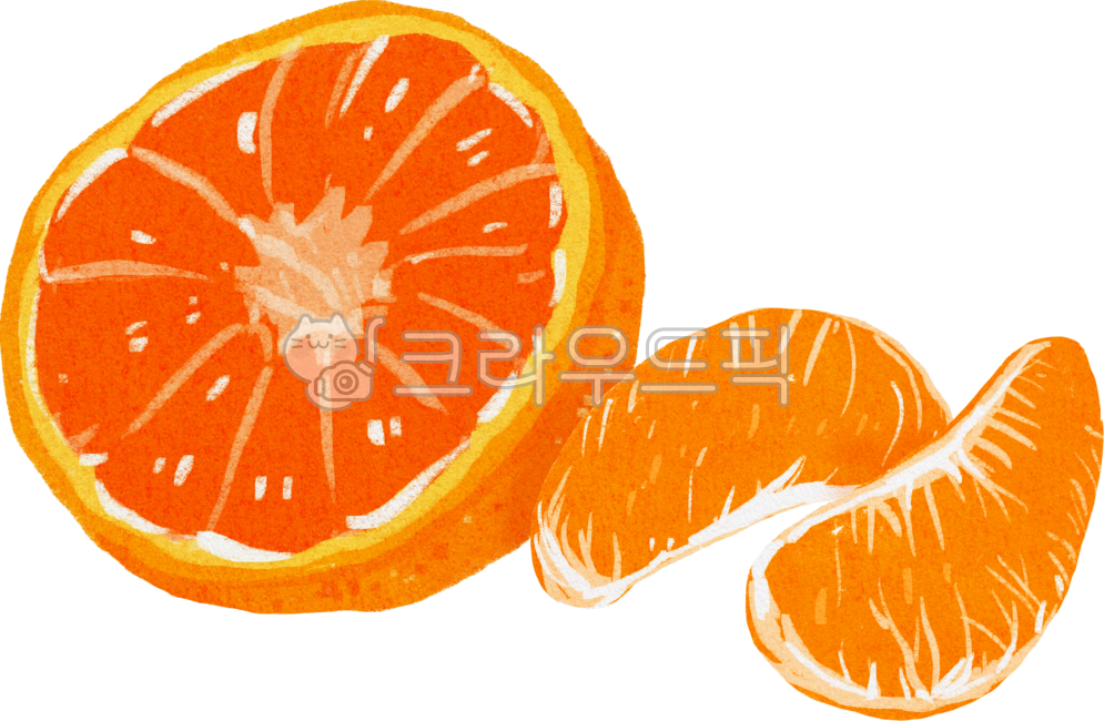 Hallabong,Hallabong leaves,Hallabong fruit,Jeju Hallabong,Hallabong fruit,Hallabong drawing,Hallabong illustration,Hallabong hand drawing,tangerine,tangerine,fruit,orange,orange tangerine,tangerine illustration,winter snack,winter fruit,Je