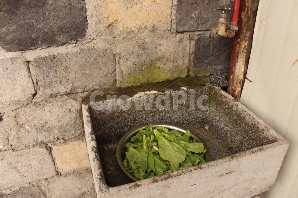 채소,오래된,건물,낡은,야채,빈티지,배경,이웃,라이프,주방,life,old,kitchen,china,shanghai,building,vegetables