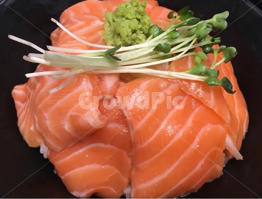연어,덮밥,무채,와사비,음식,식사,음식,식재료,요리,food,cook,meal,dishes,food reserves,수산물,해산물,fishery products,seafood,일식,일본음식,일본요리,Japanese food,Japanese dishes,Japanese meal,Japanese cook