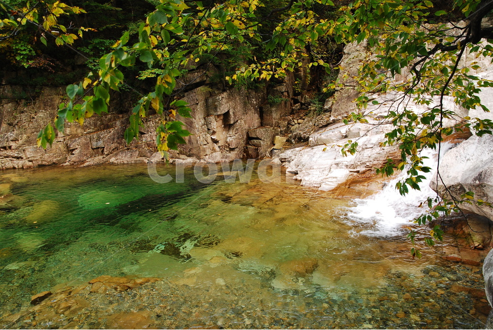 계곡,설악산,힐링,천불동계곡,물,명산,시원함,cool,valley,healing,water,summer,휴식,쉼,맑은,흐르다,flow,mountain,폭포,waterfall,landscape,nature,자연풍경,자연,풍경,계절,시즌,rest,한국자연풍경,여름,국립공원,자연,풍경,nature,landscape,한국자연풍경,한국자연경관,korea nature landscape,outdoors,옥외,river,강