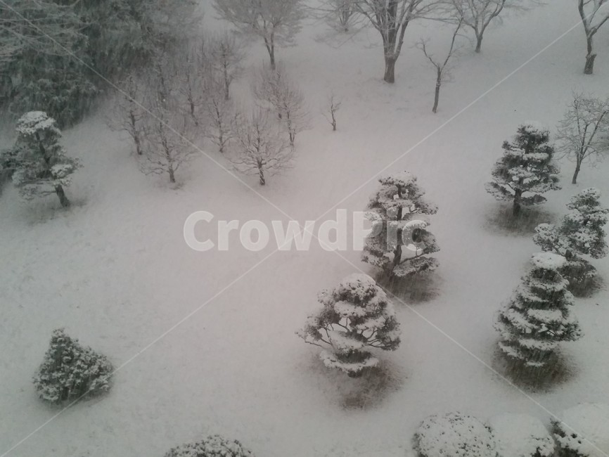 storm,폭풍,nature,자연,outdoors,옥외,snow,눈,winter,겨울,blizzard,눈보라,풍경,겨울,계절,winter,season,자연,풍경,nature,landscape