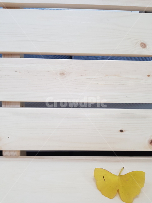 wood,나무,은행잎,혼자,노랑,1