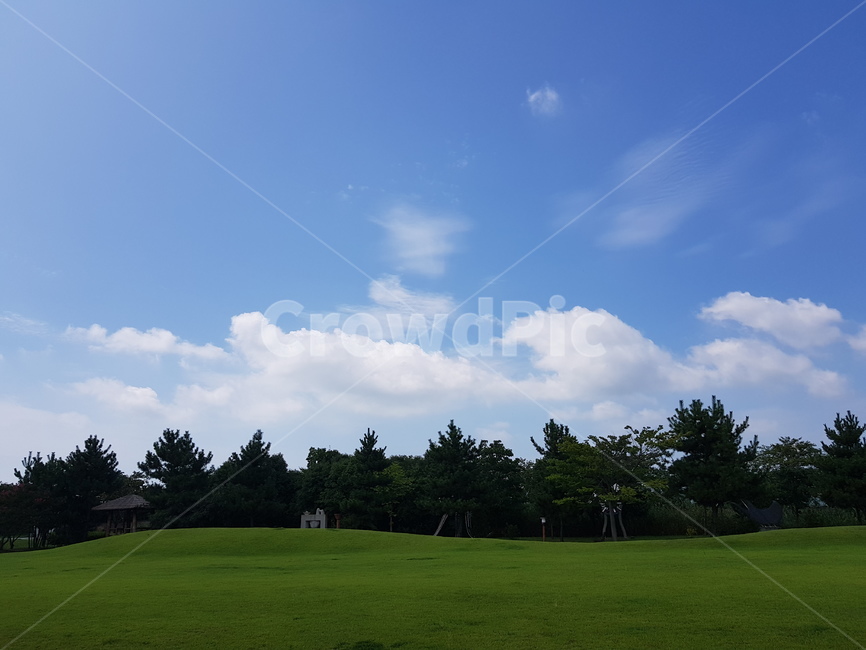 하늘,들판,자연,낮,sky,nature