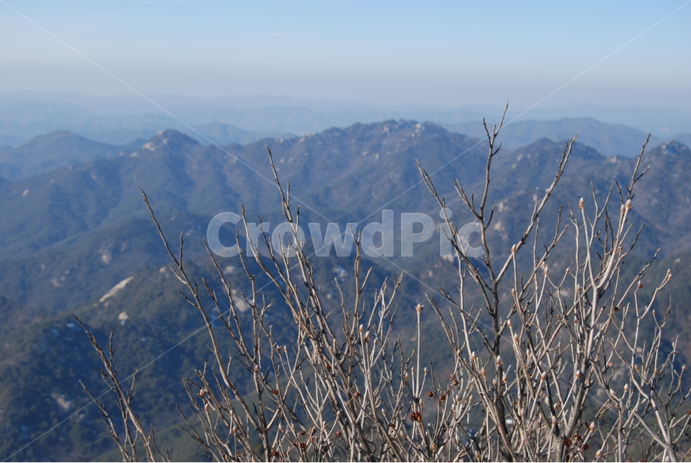 속리산국립공원,문장대,천왕봉,입석대,수학여행지,자연의위대함,등산로,능선,아름다움,신비스런산,돌,산행,힐링,자연,감성,등산,계절,여행,한국,한국명산,한국등산,풍경,눈,나무,하늘,바람,바람소리,환경,생태계,산,땅,겨울,계절,winter,season,자연,풍경,nature,landscape,한국자연풍경,한국자연경관,korea nature landscape,outdoors,옥외,mountain,mountain range,산맥