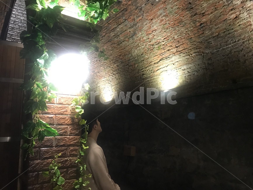 동굴안,옆모습,남자,사람,분위기,어두움,벽돌,식물