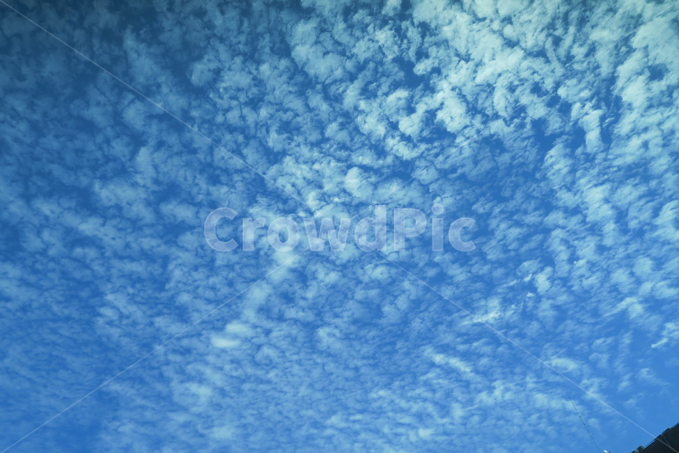 구름,sky,cloud,여름,풍경,파란색,흰색,맑음,하늘,낮,자연,nature,landscape,특이한,맑은날,자연,풍경,nature,landscape,azure sky,푸른 하늘,outdoors,옥외
