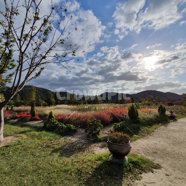 ground,바닥,plant,식물,tree,나무,구름,햇빛,고수부지,정원,가든,graden,sunshine,walk,산책,태화강,국가정원