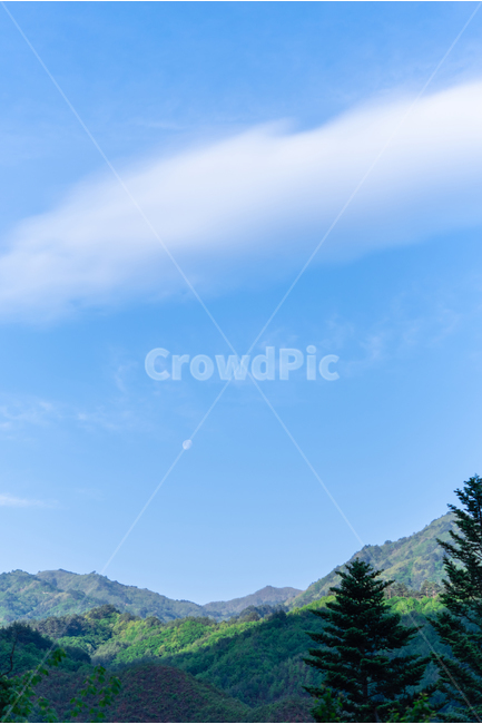 산,mountains,달,moon,푸른하늘,봄하늘,spring,bluesky,구름,소나무,풍경,sky,blue,푸른색,봄,자연,풍경,nature,landscape,plant,식물,tree,나무,fir,전나무