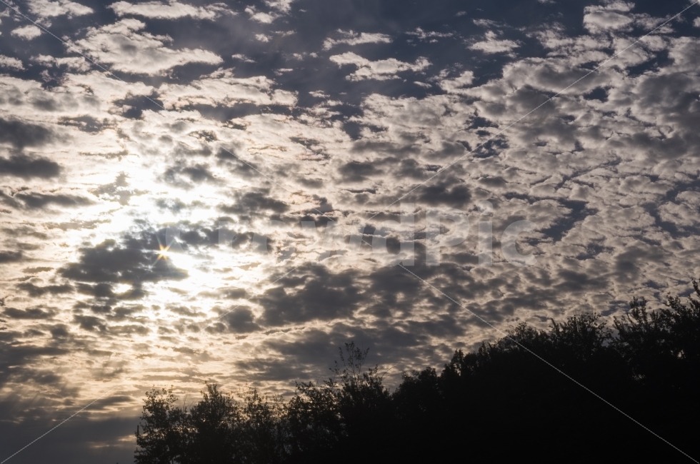 새벽하늘,구름,여름,햇살,뭉게구름,풍경,자연,자연,풍경,nature,landscape,outdoors,옥외,sunlight,햇빛