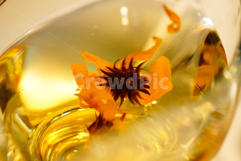 차,꽃차,카페,티,음료,힐링,식물,tea