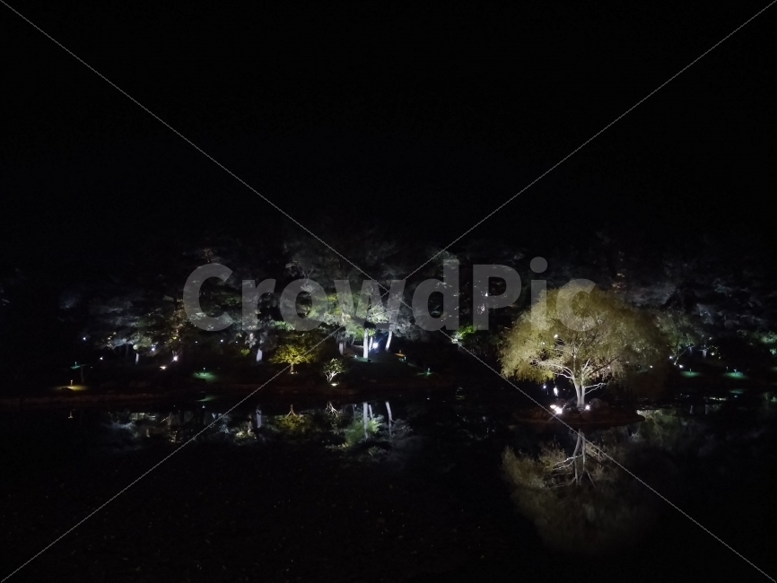 경주,안압지,경주여행,여행,국내여행,LGG2,G2,스마트폰사진,102photo,자연,풍경,nature,landscape,야경,밤,nightscape,night,outdoors,옥외