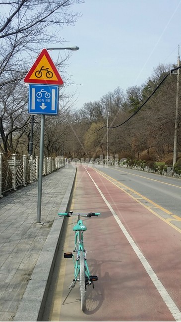 vehicle,차량,bicycle,bike,교통,바퀴,자전거,나무,하늘,야외,사이클,도로