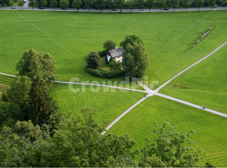 outdoors,옥외,plant,식물,grass,잔디,field,들,nature,자연,경치,landscape,풍경,scenery,유럽,오스트리아,잘츠부르크,초원,녹색,언덕,길