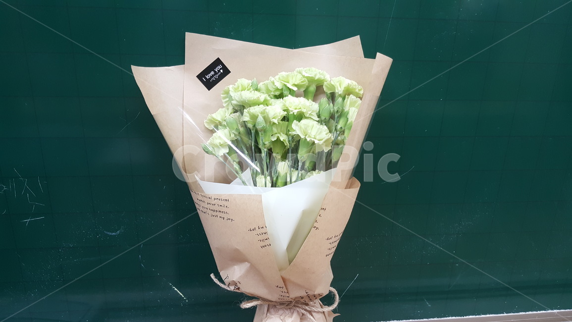 꽃,카네이션,식물,축하,기념일
