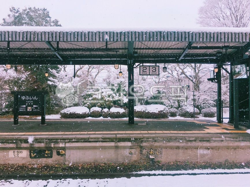 종착역,기찻길,눈,겨울,rail