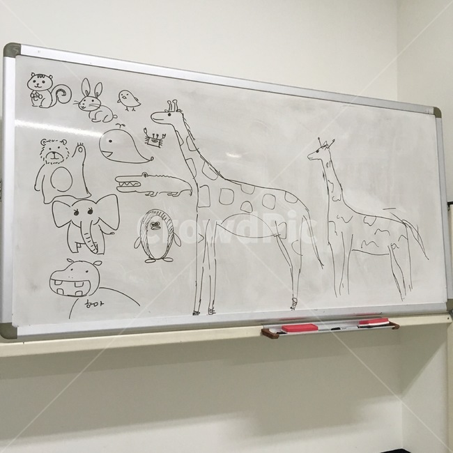 기린,코끼리,펭귄,동물,다람쥐,그림,캐릭터