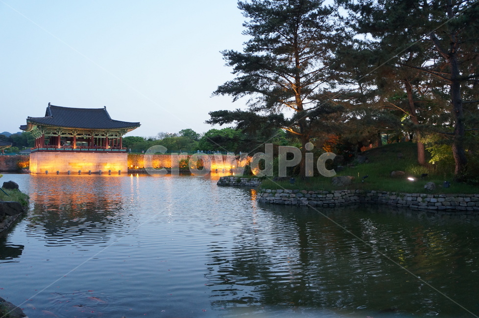 경주,야경,안압지,동궁과월지,한옥,기와집,연못,나무,자연,문화재,문화유산