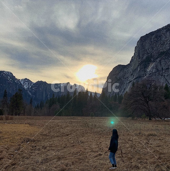 요세미티,요세미티국립공원,여자뒷모습,일몰,나무,yosemite,national,park,들판,자연,여행,숲,힐링