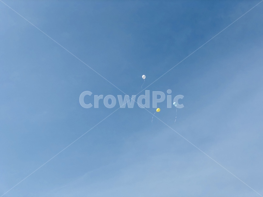 하늘,풍선,구름,텅빈,낮,상쾌함,sky,balloon,cloud,empty,day,bluesky,fresh,자연,풍경,nature,landscape,leisure activities,레저 활동,adventure,모험,gliding,활공,bird,새,animal,동물,flying,나는