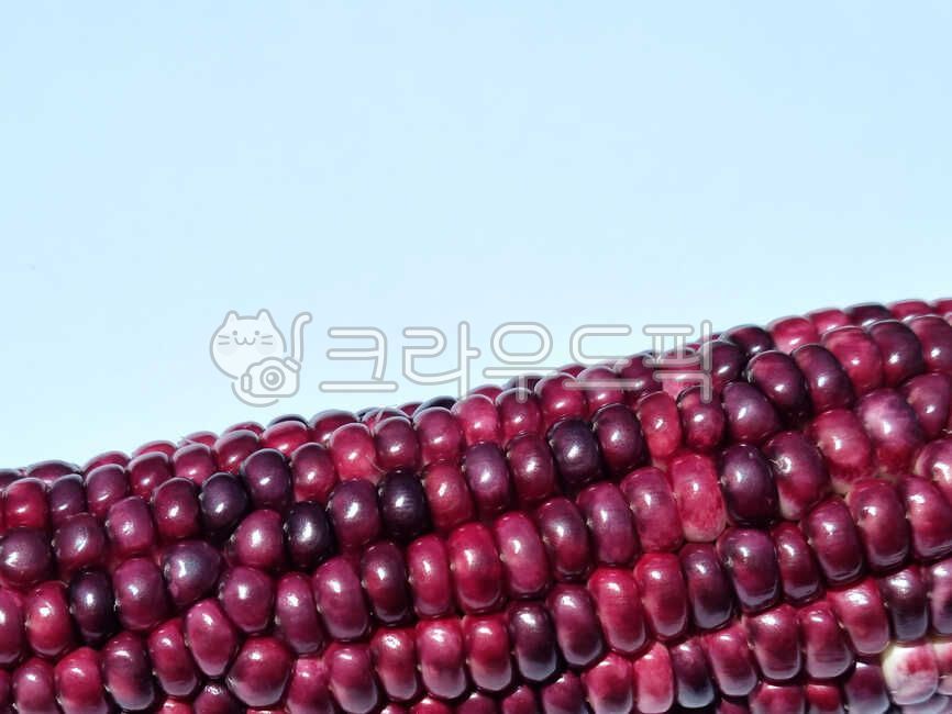 ingredient,corner,waxy corn,summer snack,snack,Food Ingredients,ingredients,cooking ingredients,grains