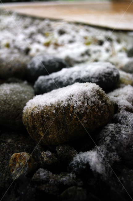 겨울,눈,winter,snow,돌,겨울,계절,winter,season