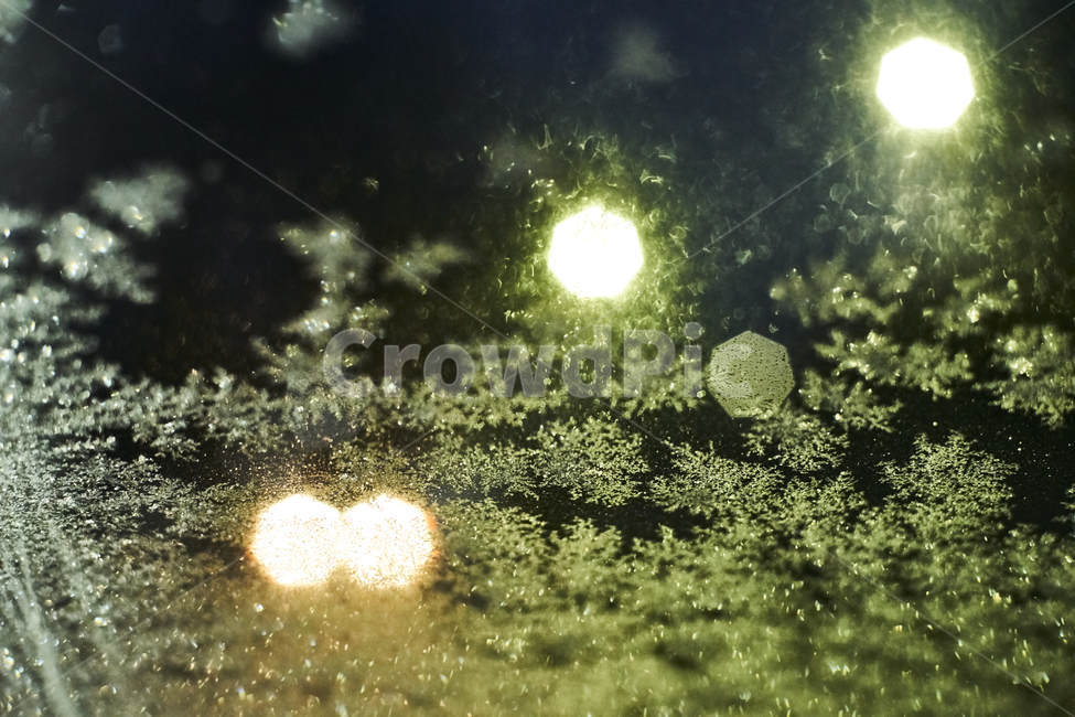 얼음,겨울,눈,눈꽃,얼음보숭이,유리,여리창,겨울,계절,winter,season