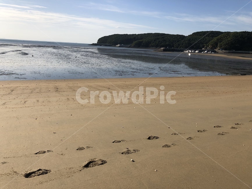 바다,해변,섬,자연,발자국,모래,모래발자국,해변,바다,beach,sea