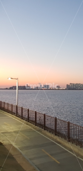 sky,pink,조명,바다,건물,도시,풍경,city,landscape,railing,난간,water,물,handrail,banister