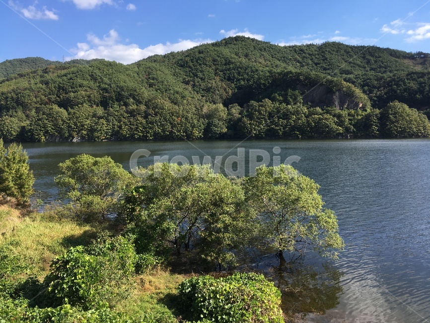 주암호,호수,가을,나무,풍경,보성군,산,자연,풍경,nature,landscape,water,물,outdoors,옥외
