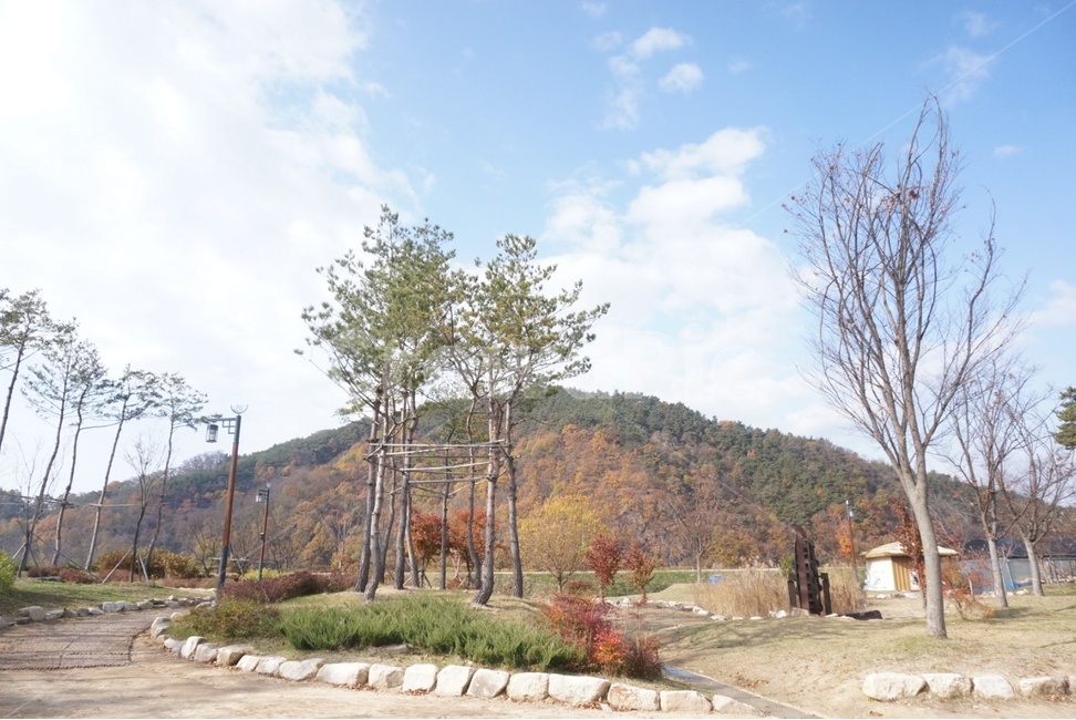 nature,자연,구름,가을,하늘,가을,계절,fall,autumn,season