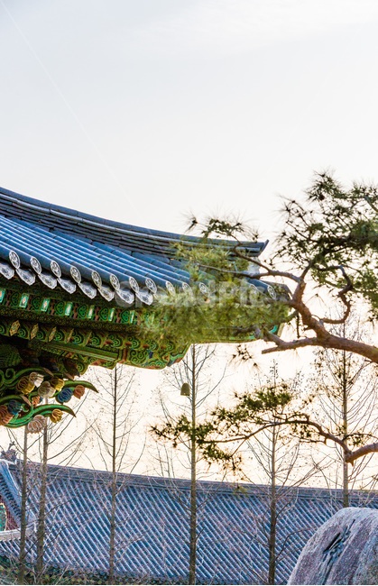 기와,선,패턴,사찰,전통,한국전통,한국문화,korean traditional,korean culture,건축물,건물외관,exterior,building,structure,architecture,construction