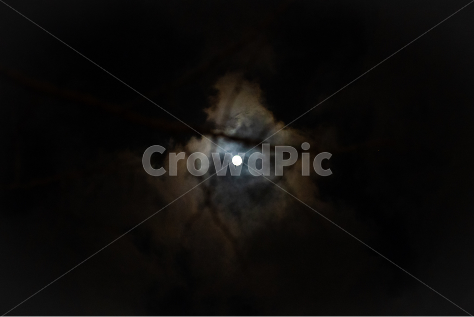 background,black,desolate,branch,calm,cloud,darkness,fear,fullmoon,depression,light,moon,mysterious,night,pitchblack,coarsetexture,silence,sky,twinkling,creepy,suspicious,terriblenightsky,sparse,treesdisappearing,nature,outdoordark,배경,검정색,황량함,나뭇가지,고요함,구름,흐림,어둠,두려움,보름달,우울함,빛,달,달빛,신비함,밤,칠흑같이어두운,거친질감,침묵,하늘,반짝임,섬뜩함,의심,끔찍한밤하늘,희박함,나무,사라짐,자연,옥외,어두운