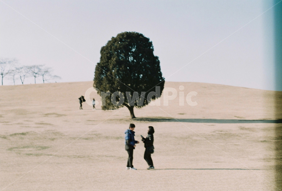 나홀로나무,올림픽공원,나무,공원,커플,filmphoto,필름사진