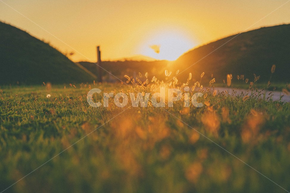 가을,노을,해질녘,자연,감성,sunset,가을,계절,fall,autumn,season,light,빛,flare,플레어