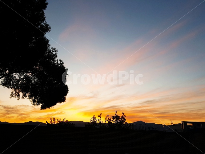 자연,outdoors,옥외,sunset,redsky,붉은하늘,sky,하늘,dusk,황혼,풍경,tree,plant,식물,일몰,자연,풍경,nature,landscape,dawn,새벽,red sky,붉은 하늘