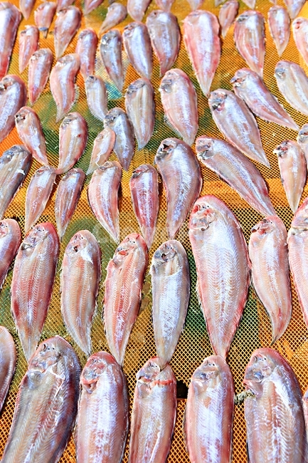 생선,반건조생선,먹거리,음식,자연,배경,음식,식재료,요리,food,cook,meal,dishes,food reserves,수산물,해산물,fishery products,seafood