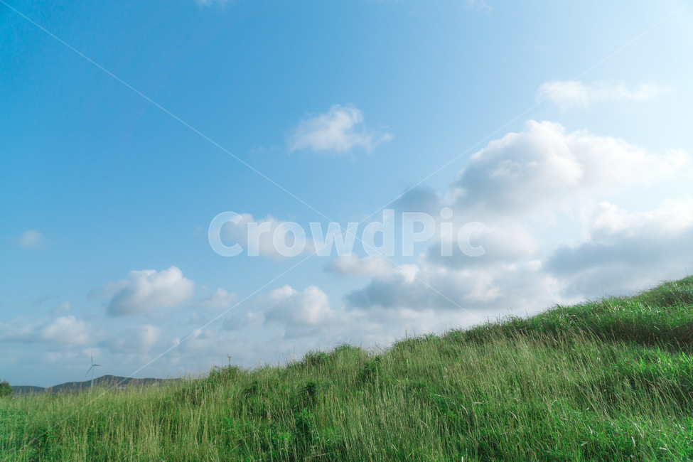 field,들,grassland,nature,자연,잔디,grass,구름,하늘,자연,풍경,nature,landscape