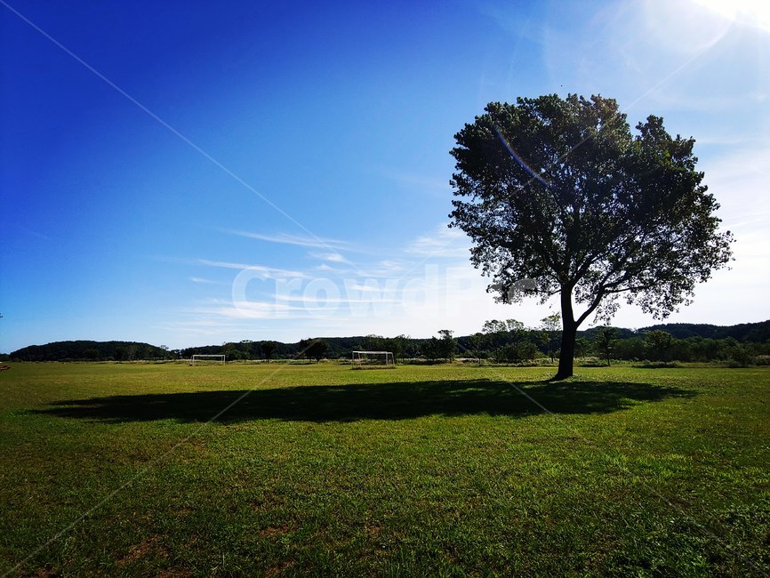 가을하늘,나무,잔디밭,구름,힐링,자연,풍경,nature,landscape,plant,식물,grass,잔디,field,들
