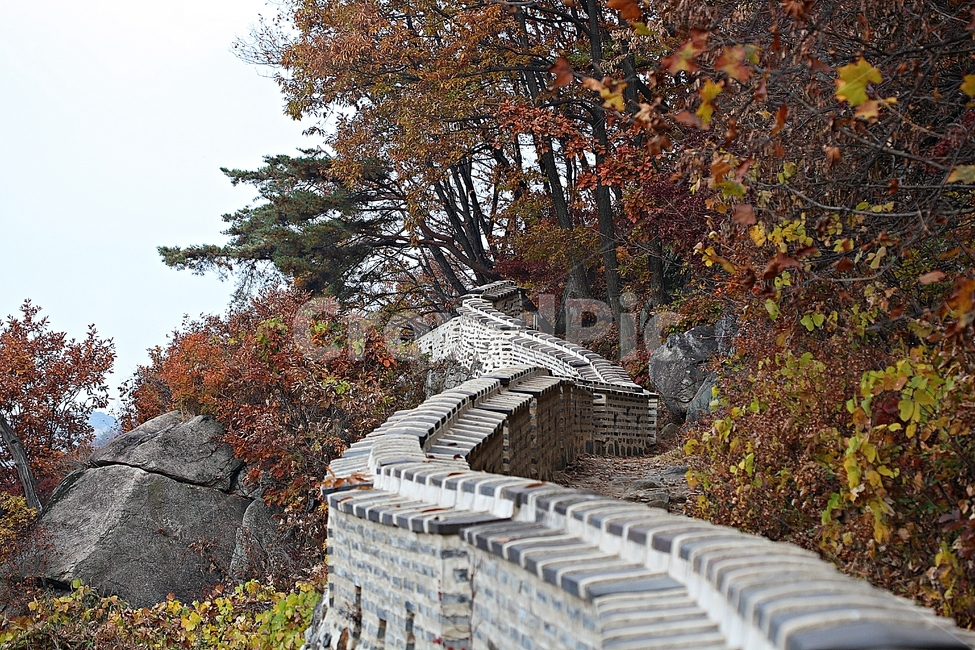 남한산성,성,성곽,단풍,낙엽,길,둘레길,숲,숲길,담,돌담,가을,자연,풍경,벽,울긋불긋,산성,식물,가을,계절,fall,autumn,season,한국전통,한국문화,korean traditional,korean culture