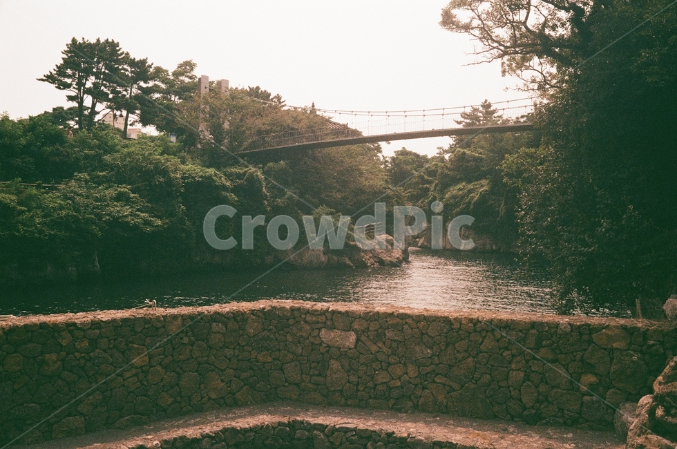 다리,산,호수,나무,제주도,필름