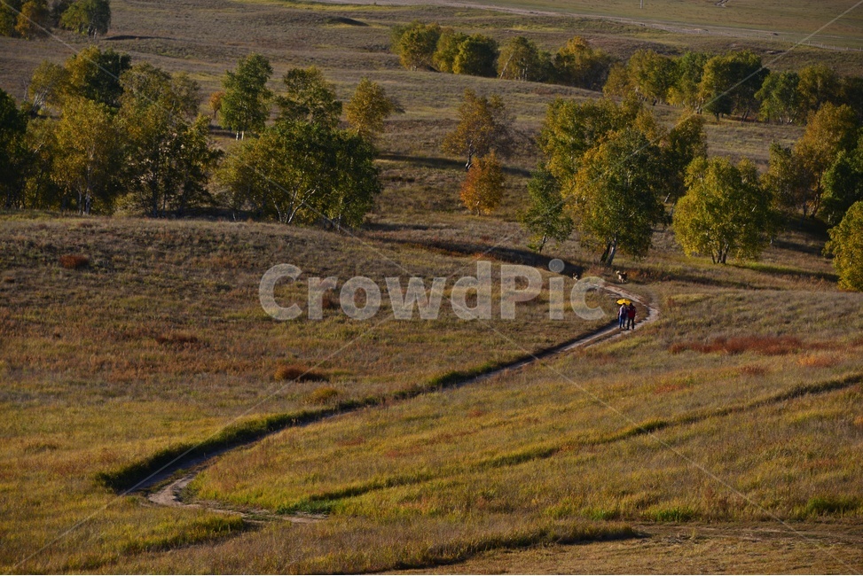 ground,바닥,human,인간,person,사람,outdoors,옥외,grassland,목초지,field,들,landscape,경치,nature,자연,scenery,풍경,중국,몽고,패상,패상가을
